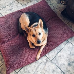 Meet your Posher, Tyra